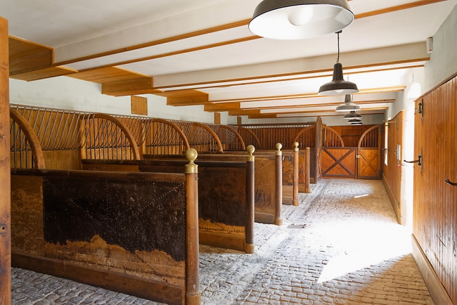 Balade avec Monique (La Brède Budos Villandraut)-017